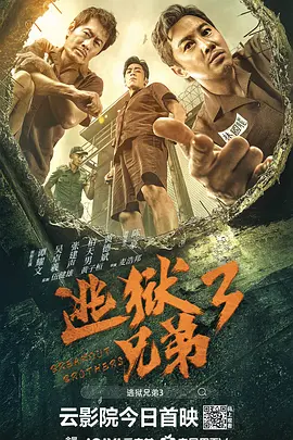 久久99精品久久久久久国产越南