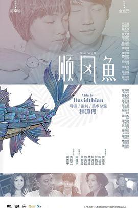 姐妹情谊的姐妹情谊