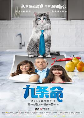 送你个男朋友