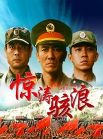 国内精品久久久久久网站