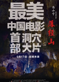 金泉家