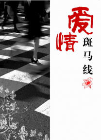阿v精品一区二区三区