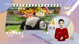 手机在线看片国产日韩生活片