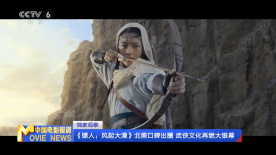 国内精品久久久久久精品久久